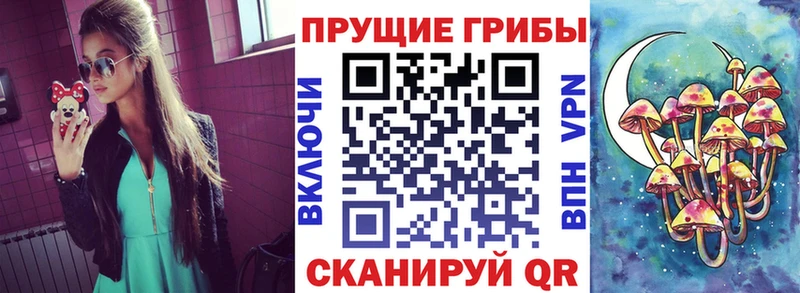 Галлюциногенные грибы MAGIC MUSHROOMS  даркнет сайт  Андреаполь 