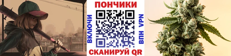 МАРИХУАНА план  shop формула  Андреаполь  закладки 
